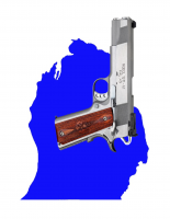 Michigan Gun Exchange