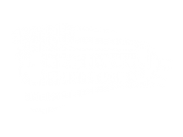 Gun Commanders
